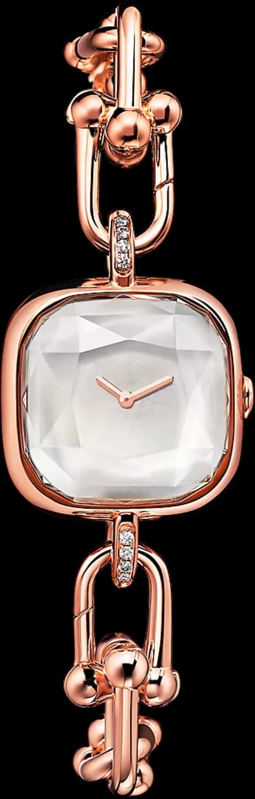 Gold Steel Watch